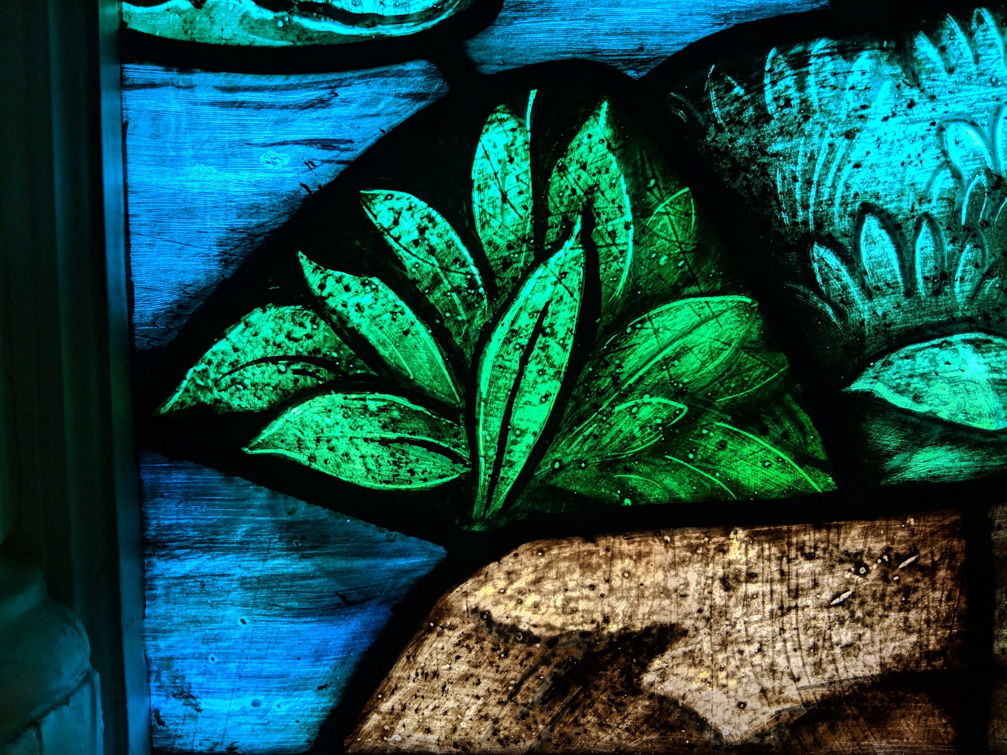 up close church sanctuary stained glass plant